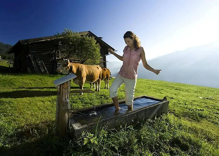 Scol Zillertal Fügen